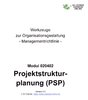 Strukturplanung von Projekten (PSP). Managementrichtlinie